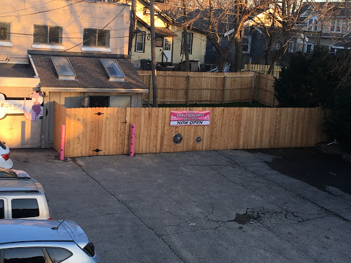 Pet Groomer «Doggie Style Bowtique», reviews and photos, 1713 Westport Rd, Kansas City, MO 64111, USA