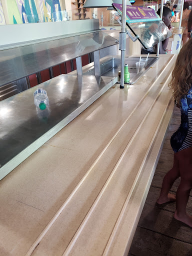 Water Park «Aquatica», reviews and photos, 5800 Water Play Way, Orlando, FL 32821, USA