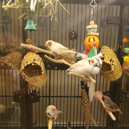 Pet Supply Store «PetSmart», reviews and photos, 20530 E 13 Mile Rd, Roseville, MI 48066, USA