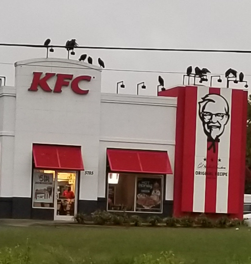 KFC 20772