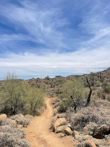 Dixie Mine Trail
