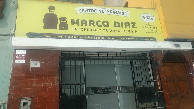 Opiniones de Marco Diaz en Surquillo - Veterinario