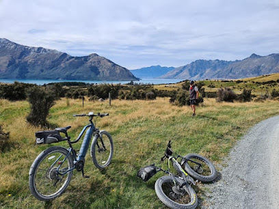 See-nz eBike rentals - Ecycles