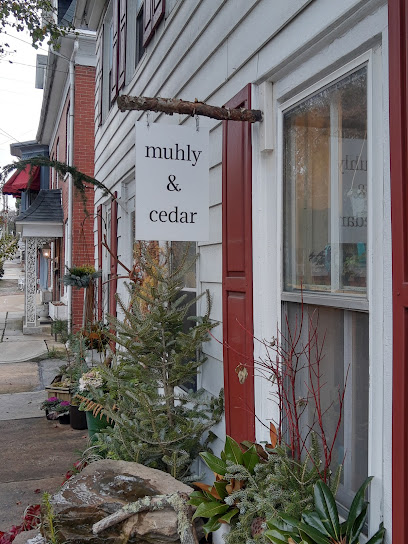 Muhly & Cedar