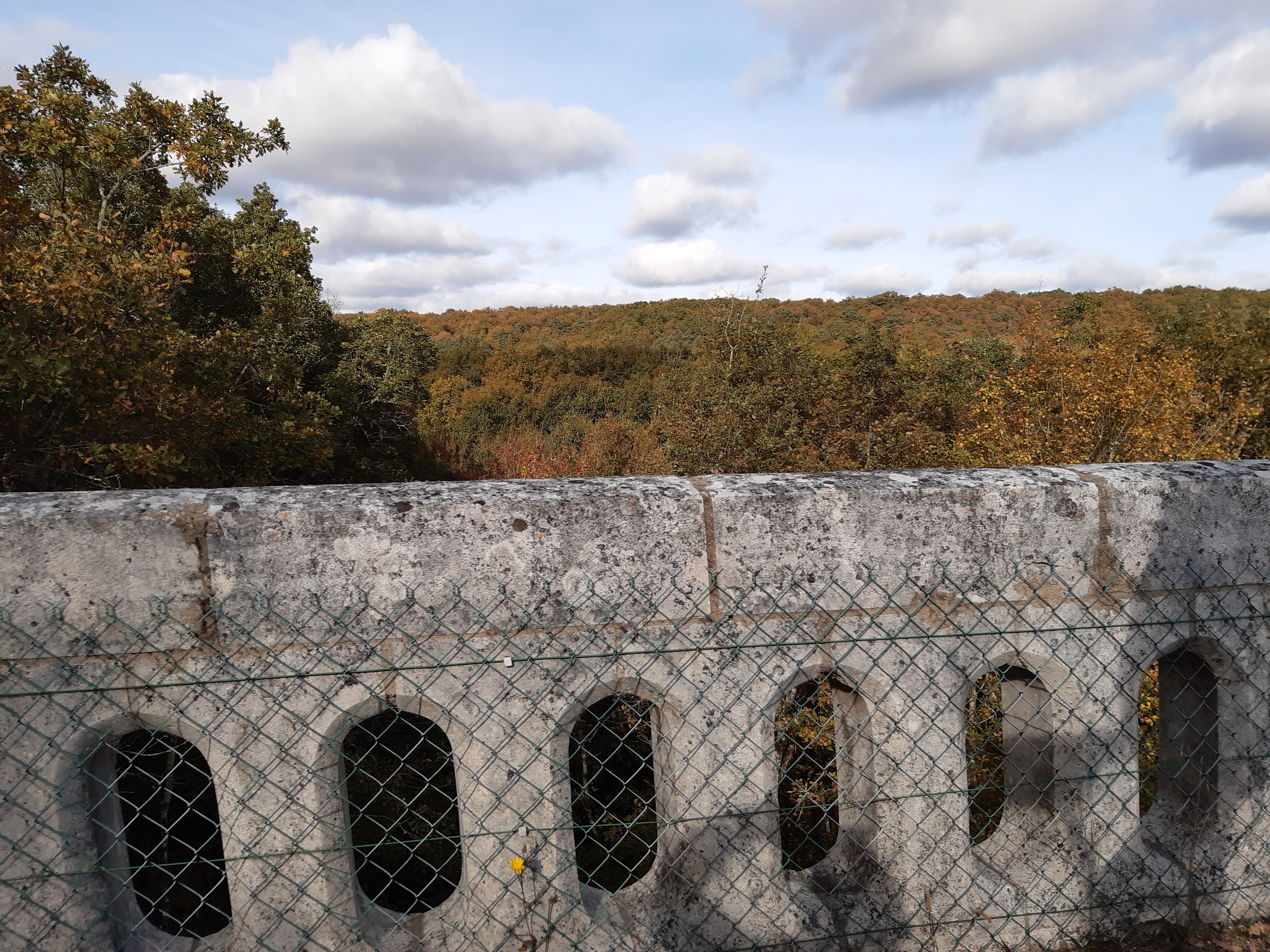 Photo n° 4 de l'avis de René.a fait le 27/10/2021 à 07:26