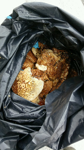 Pest Control Service «Critter Control of Miami», reviews and photos