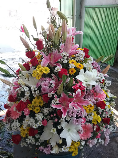 Flores Padron – Monterrey