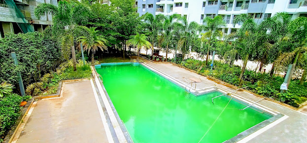 Google Maps image 24