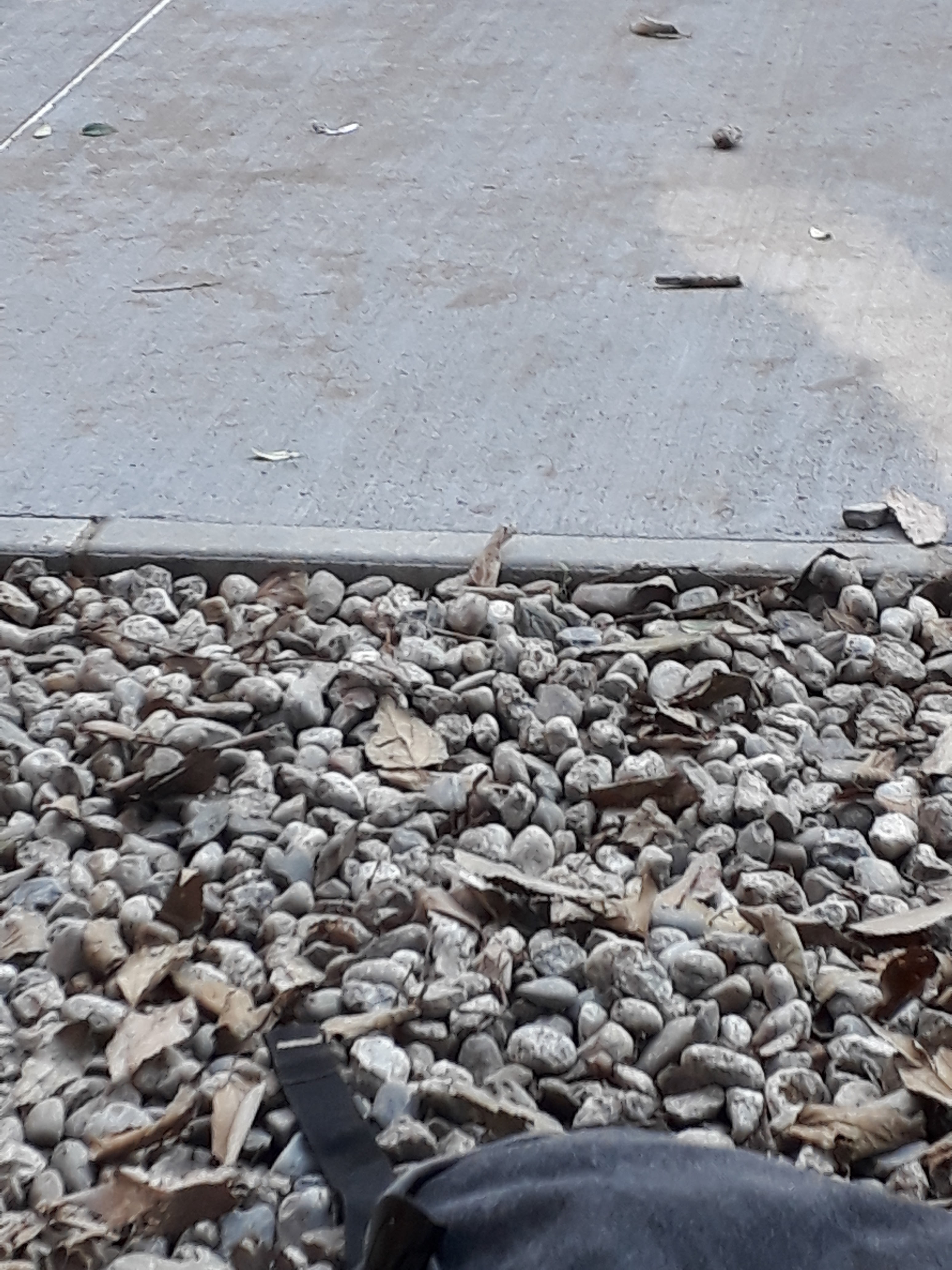 Photo n° 40 de l'avis de William.m fait le 11/12/2018 à 12:09