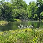 Photo n° 3 de l'avis de Nadege. fait le 28/05/2023 à 16:46 pour aire de services camping car à Aube