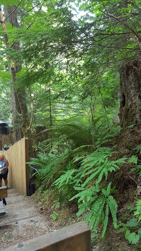 Performing Arts Theater «Snoqualmie Falls Forest Theater», reviews and photos, 36800 SE David Powell Rd, Fall City, WA 98024, USA