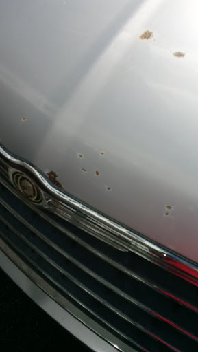 Dodge Dealer «Dadeland Dodge Chrysler Jeep Ram», reviews and photos, 16501 S Dixie Hwy, Miami, FL 33157, USA