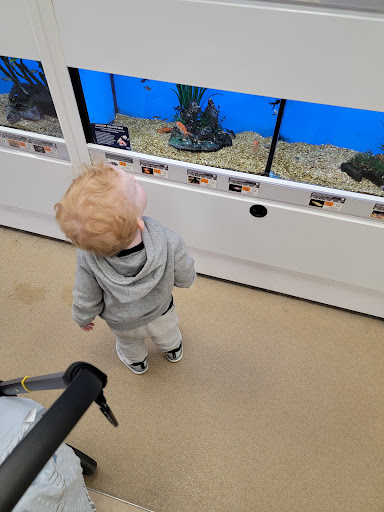 Pet Supply Store «Petco Animal Supplies», reviews and photos, 1483 NJ-23 #14b, Kinnelon, NJ 07405, USA