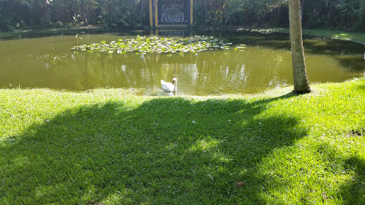 Museum «Bonnet House Museum & Gardens», reviews and photos, 900 N Birch Rd, Fort Lauderdale, FL 33304, USA