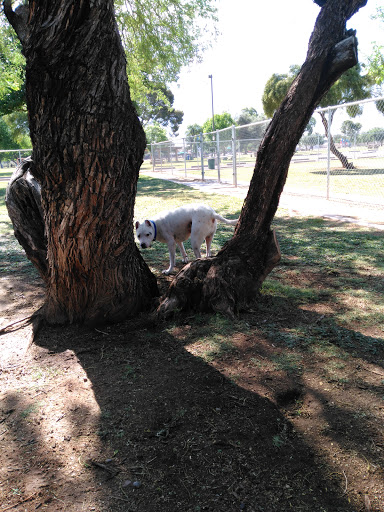 Paradise Valley Small Dog Dog Park