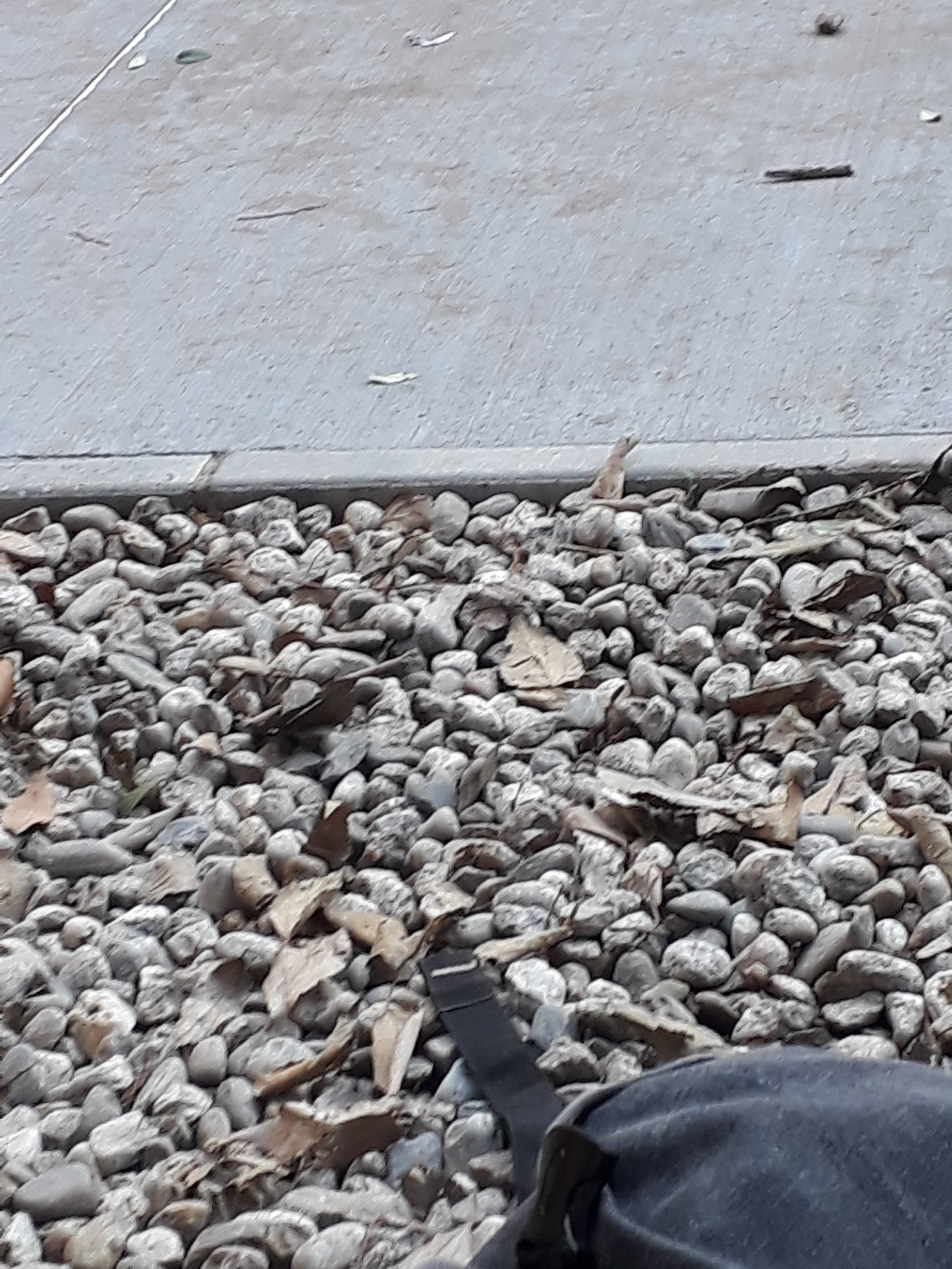 Photo n° 19 de l'avis de William.m fait le 11/12/2018 à 12:09