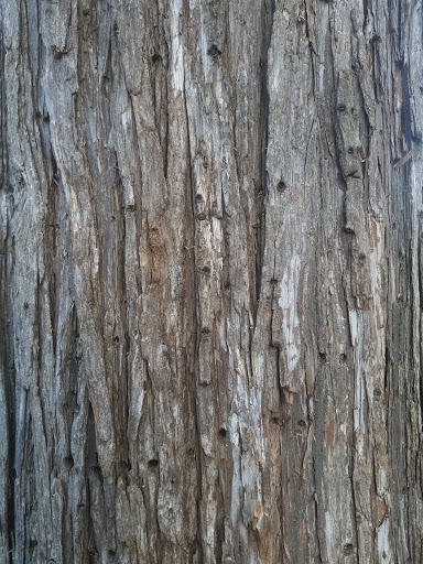 Park «Lowry Park», reviews and photos, 900 Douglas Ave, Minneapolis, MN 55403, USA