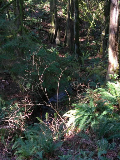 Tourist Attraction «Preston-Snoqualmie Trail Head parking», reviews and photos, Preston-Snoqualmie Trail, Fall City, WA 98024, USA