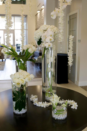 Florist «Texas Blooms and Gifts», reviews and photos, 4616 Triangle Ave #402, Austin, TX 78751, USA