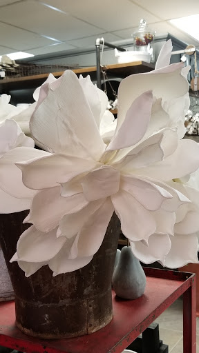 Coffee Shop «The Legendary Grind», reviews and photos, 108 S Main St, Middlebury, IN 46540, USA