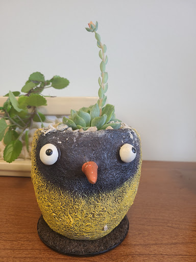 Florist «Urban Sense», reviews and photos, 5402 W Vliet St, Milwaukee, WI 53208, USA