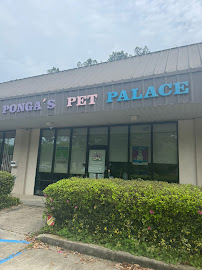 Ponga's Pet Palace - Photo 5 - Car repair in Mandeville, LA, Mandeville
