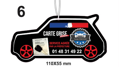 CARTE GRISE MINUTE ANTS- SAM DRIVER à Stains