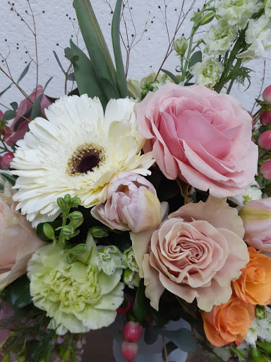 Florist «Mandarin Orchid House», reviews and photos, 3137 Stockton Hill Rd, Kingman, AZ 86401, USA