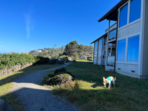 Cafe «Trinks Cafe & Bakery», reviews and photos, 39140 CA-1, Gualala, CA 95445, USA