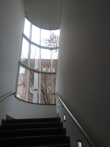 Museum «Weatherspoon Art Museum», reviews and photos, 500 Tate St, Greensboro, NC 27412, USA