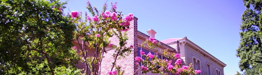 Accountant «Mesquite Tax LLC», reviews and photos