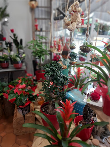 Comentarii opinii despre BRIN DE NATURE