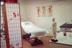 Acupuncture Cabinet Xin Li image