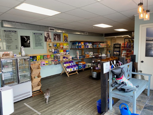 Pet Groomer «Sandy Paw Pet Spa & Boutique», reviews and photos, 44 Woodside Ave, Winthrop, MA 02152, USA