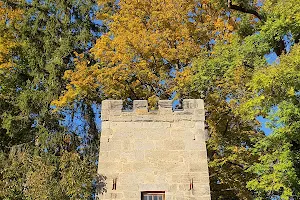 Kleiner Rosengarten im Hofgarten image