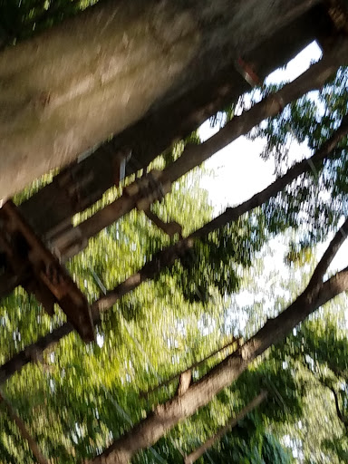 Amusement Park «The Adventure Park at West Bloomfield», reviews and photos, 6600 W Maple Rd, West Bloomfield Township, MI 48322, USA