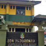 Review SDN Padurenan I