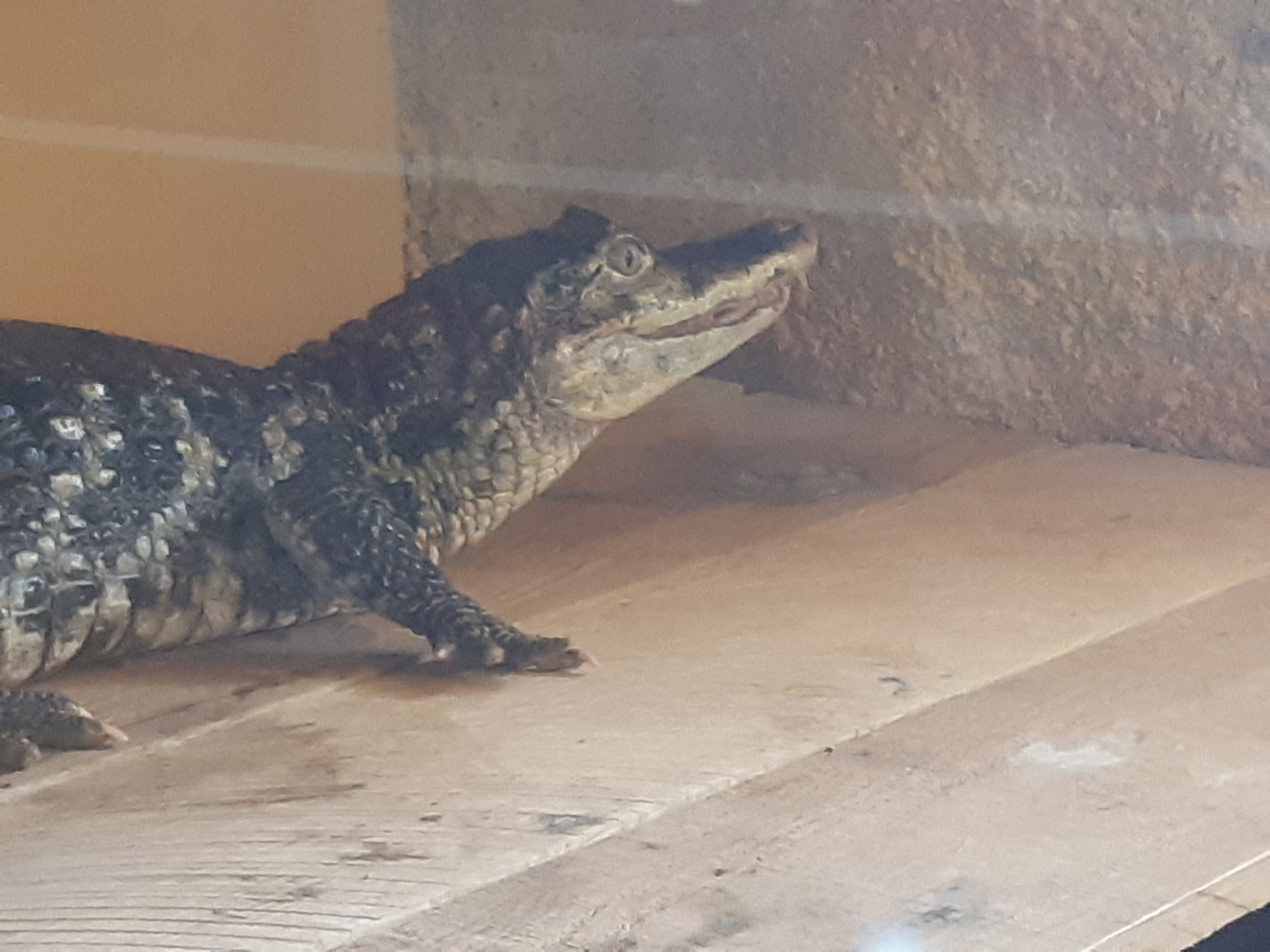 Photo n° 6 de l'avis de Stephanie.t fait le 30/08/2020 à 15:16