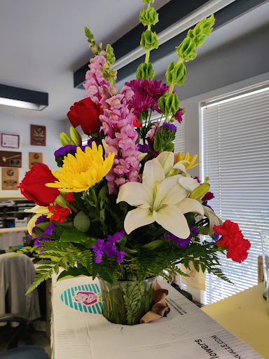 Florist «Arthur Pfeil Flowers», reviews and photos, 803 W Ashby Pl, San Antonio, TX 78212, USA