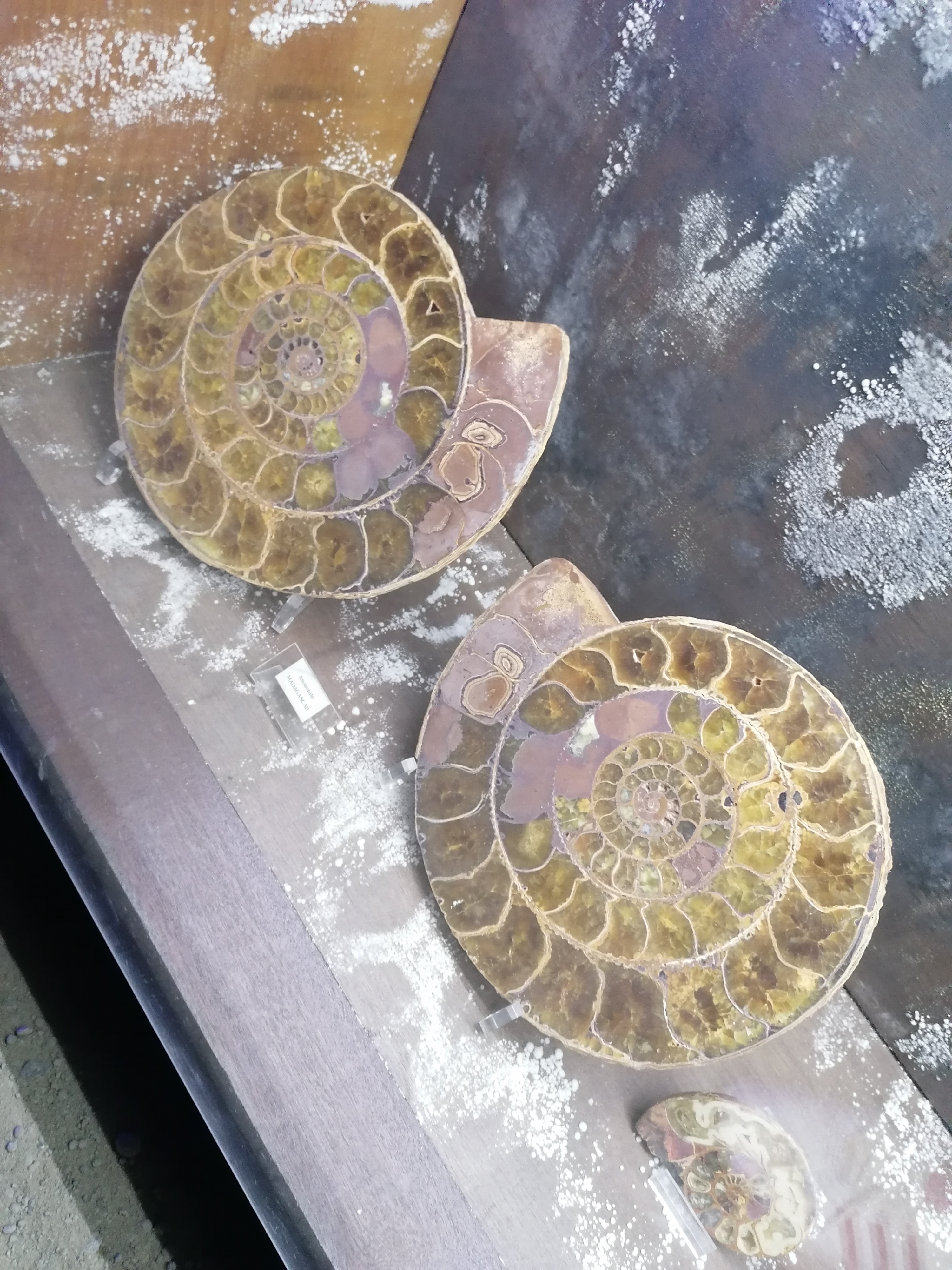 Photo n° 8 de l'avis de Sandrine.o fait le 24/07/2023 à 19:31