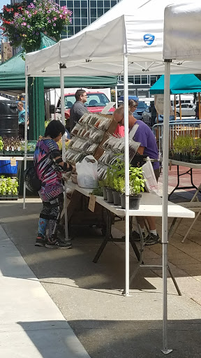 Shopping Mall «Main Place Mall», reviews and photos, 350 Main St, Buffalo, NY 14202, USA