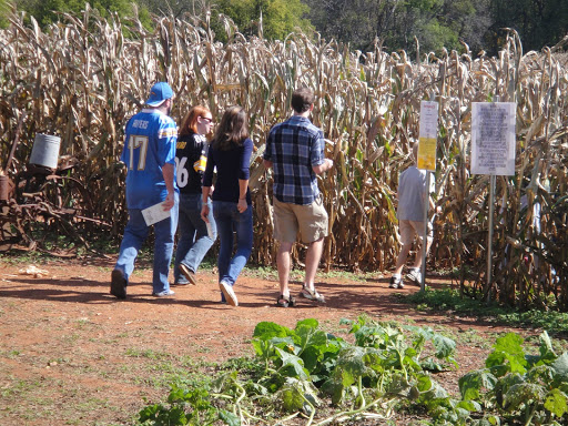 Pumpkin Patch «Liberty Mills Farm», reviews and photos, 9166 Liberty Mills Rd, Somerset, VA 22972, USA