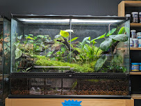 Exotic Life Fish & Reptiles - Photo 7 - Car repair in Chatsworth, CA, Simi Valley