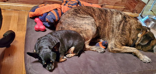 Mountain View Animal Clinic