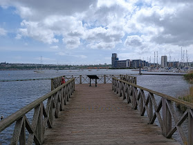 The Jetty