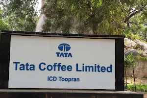 Tata Coffee Limited image