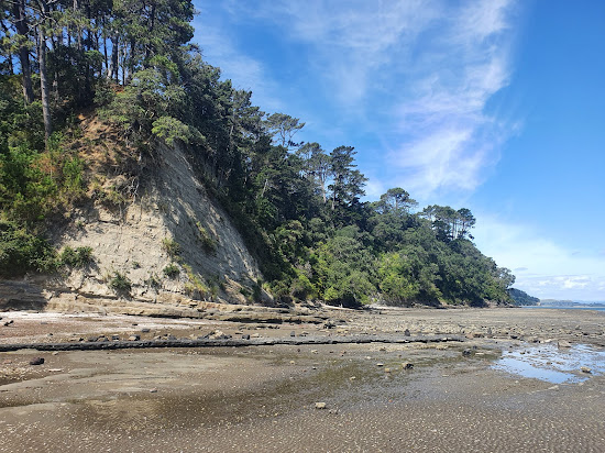 Green Bay Beach