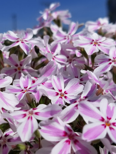 Pet Supply Store «Better Buys», reviews and photos, 3622 N Broadway Ave, Muncie, IN 47303, USA