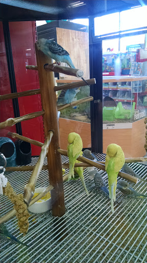 Pet Supply Store «Petco Animal Supplies», reviews and photos, 2000 NE Burnside Rd, Gresham, OR 97030, USA