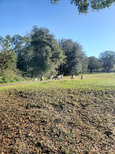 Golf Club «Silver Dollar Golf & Trap Club», reviews and photos, 12711 Silver Dollar Dr, Odessa, FL 33556, USA